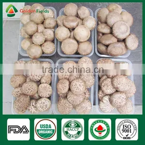 Shiitake Growing Kit,Shiitake Mushroom Spawn,Growing Shitake thumbnail-6