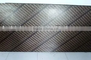 17MM Film Faced Plywood thumbnail-5