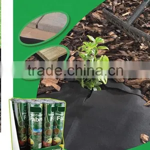 For Protecting the Plants China Supplier Biodegradable Agriculture PP Protective Cover Film for Protecting the Plants thumbnail-2