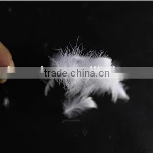 Factory Price 2-4cm Washed White Goose Feather fo Selling thumbnail-3