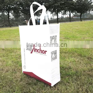 Eco-friendly Promotional pp Non Woven Advertising Bag for Shopping Bag thumbnail-5