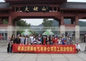 Zhejiang Qiantai Electrical Co., Ltd. company overview - view 3 thumbnail