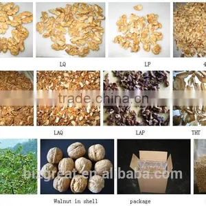 Supply With Chinese Walnut Kernels Dark For Sales thumbnail-6