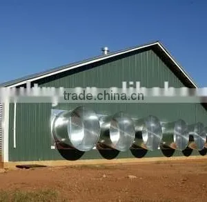 Automatic Equipment and Chicken Shed Design thumbnail-2