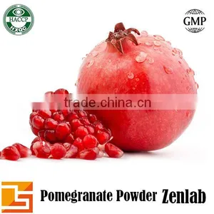 Organic Pomegranate P.e for Pomegranate Juice Powder thumbnail-5