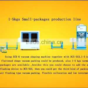 DZX-6 Chamber Vacuum Sealer thumbnail-2