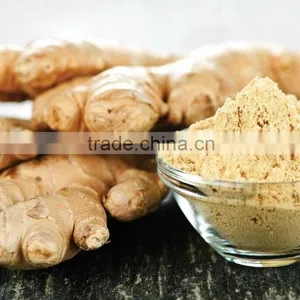 Factory Supply Ginger Powder High Quality Low Price With Kosher Certificate thumbnail-2