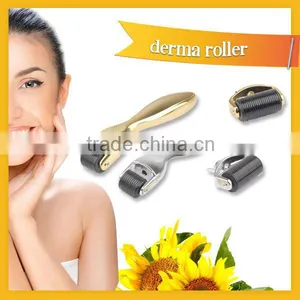 Factory Supply Golden/ Sliver Handle Changeable Heads 600/1200 Pins Stainless Micro Needle Medical Derma Roller for Skin Care thumbnail-5