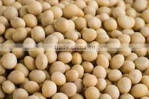 Soybean Seeds thumbnail-1