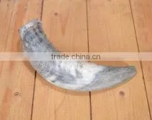Buffalo/ox /cow Raw Horn for Decoration Manufacturing India thumbnail-4