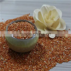 Red Millet In Husk With Good Price thumbnail-5