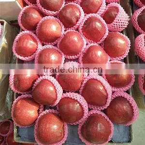 Chinese Fresh Apple Fresh Apple Fruit for Sale thumbnail-1