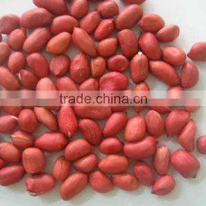 Wholesale Big Size Blanched Peanut Kernels(ground Nut Seeds) thumbnail-1