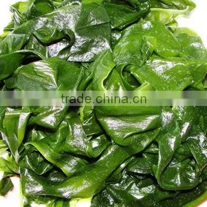 Sea Mustard Frozen Sea Mustard Frozen Wakame thumbnail-1