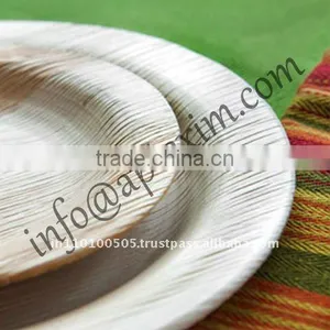 Eco Disposable Plates thumbnail-1