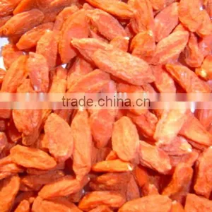 Goji Berry for Medicines thumbnail-2