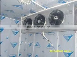 Cold Room for Walk-in Freezer thumbnail-1