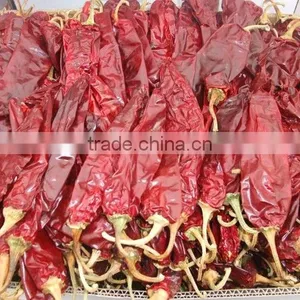 HACCP FDA KOSHER Certified Sweet Whole Paprika Pods thumbnail-4