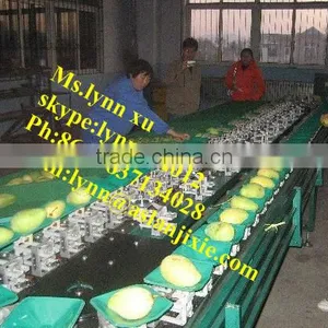 Fruit Sorting Machine by Weight /apple Sorting Machine thumbnail-1
