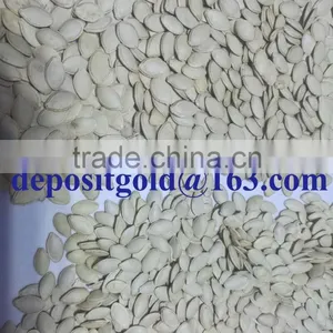 Export Grade Pumpkin Seeds in Shell thumbnail-3