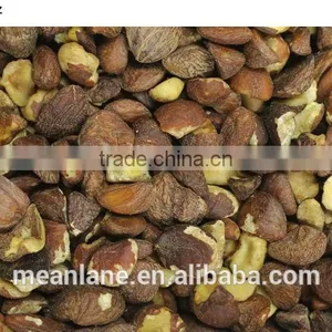 no Fertilizer & no Pesticide Camellia Oil Seed/tea Seed USDA NOP Organic Certificate thumbnail-3