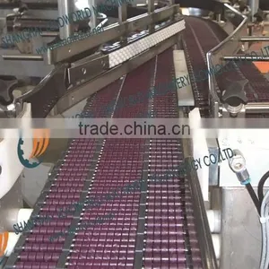 Bead Surface Conveyor System thumbnail-1