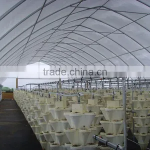 Commercial Greenhouse for Sale Single Span Greenhouse thumbnail-2