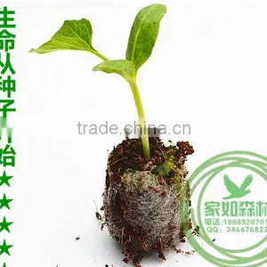 China Manufacture Excellent Quality Best Price Cell Seed Tray thumbnail-6