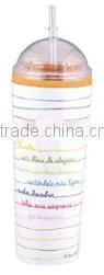 550ml Stainless Steel Inner Plastic Outer Steel Double Layer Cup With Straw thumbnail-3