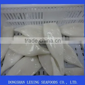 Illex Squid Tube Frozen thumbnail-1