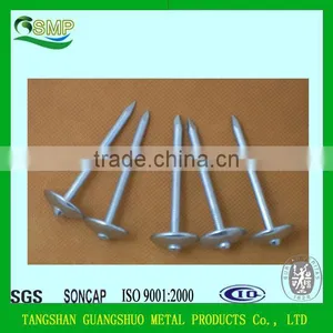 Direct Factory High Quality Rubber Washer Roofing Nails/plastic Washers for Roofing Nails thumbnail-5