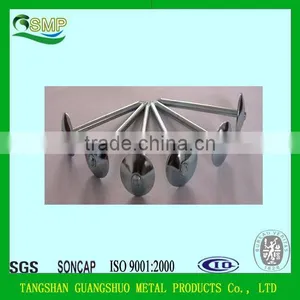 Umbrella Head Galvanized Roofing Nails With Rubber Gasket thumbnail-4