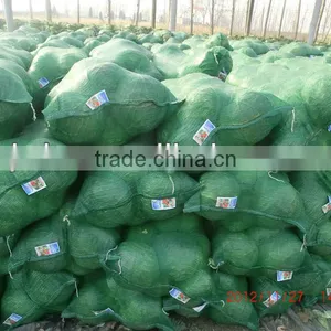 High Quality Plastic Circular Mesh Packing Bag thumbnail-1