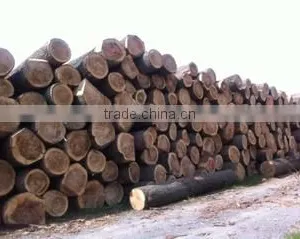 Alpawood Bv company overview - view 1 thumbnail