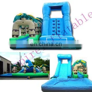 Giant Inflatable Pool Slide for Adult,big Inflatable Toys WS012 thumbnail-1