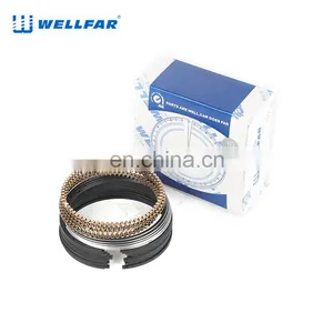 2M4790 Wellfar Ram 1500 Ram 2500 Durango Dakota Piston Rings For Gm 287cid (4.7l) Sohc Edv Engine thumbnail-5