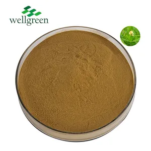 Wholesale Bulk Pure Natural Food Grade Water Saponin Extract Cassia Nomame Powder thumbnail-1