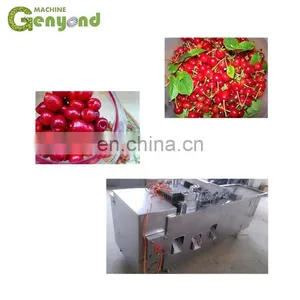 Cherry Stem Stalk Removing Machine Cherry Pitting Machine for Cherry Process Machine thumbnail-2