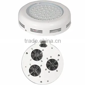 Indoor Farming Low Price Led Light for Pumpkin Quicker Growing thumbnail-3