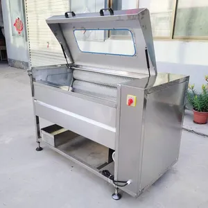 Commerical Brush Washing Machine for Sweet Potato and Carrot thumbnail-4