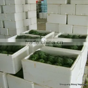 2016 (11-13cm ) Chinese Fresh Broccoli thumbnail-1