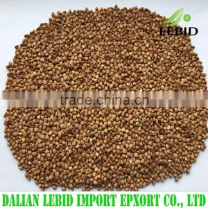 Chinese Bulk Dried Brown Color Wholesale Roasted Buckwheat thumbnail-1