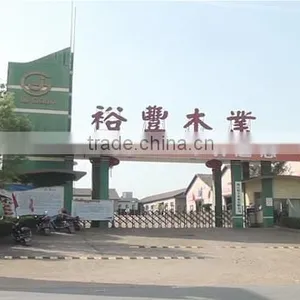 Zhejiang Yufeng Wood Industry Co., Ltd. company overview - view 1 thumbnail