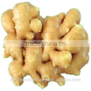 Fresh Ginger thumbnail-2