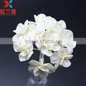 Wholesale New Design With High Quality Dried Sola Wood Flower thumbnail-1
