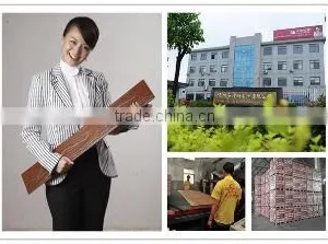 Changzhou Shenzhou Wooden Co., Ltd. company overview - view 2 thumbnail