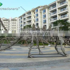 Outdoor Park Life Size Fiberglass Dinosaur Skeleton thumbnail-3