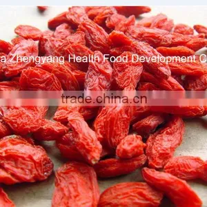 High Quality & Organic Goji Berry thumbnail-2