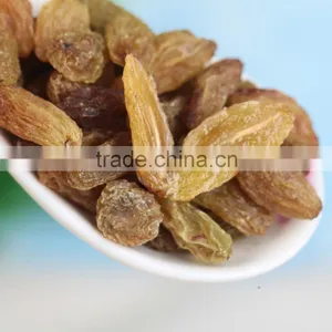 2015 Xinjiang Turpan Green Raisins Dried Grapes thumbnail-3