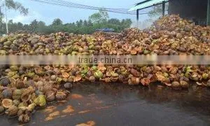 Minh Khang Import Export Company Limited company overview - view 2 thumbnail